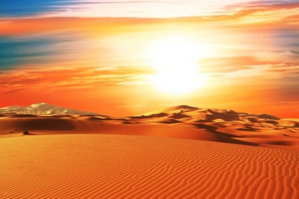 Fototapete Dune